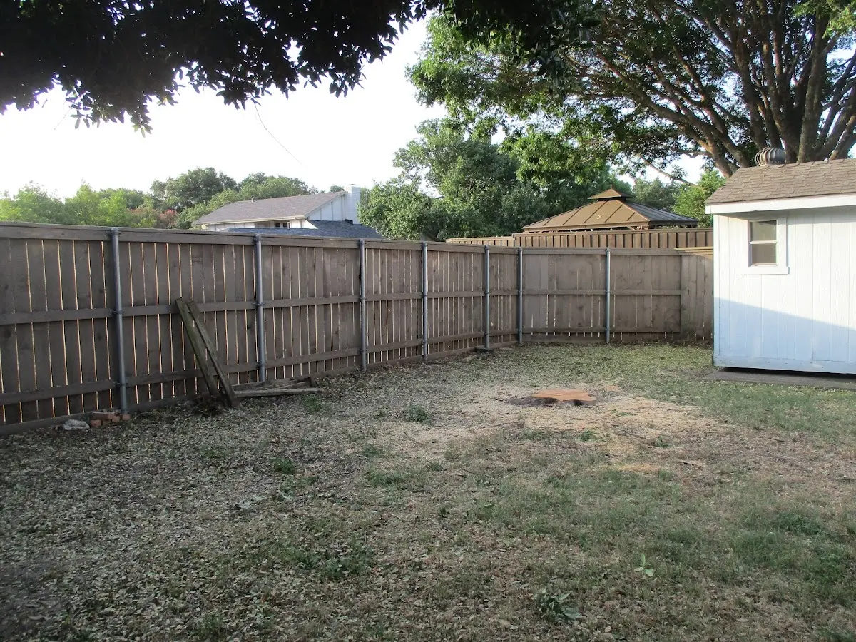 Cleared yard after professional tree removal in Wilmington